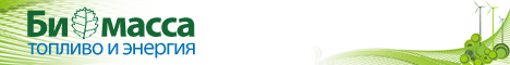 Биомасса: топливо и энергия 2018