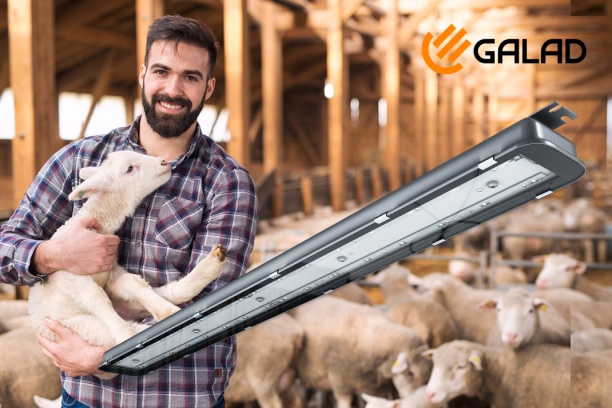 Арклайн Резист устойчив к аммиаку!