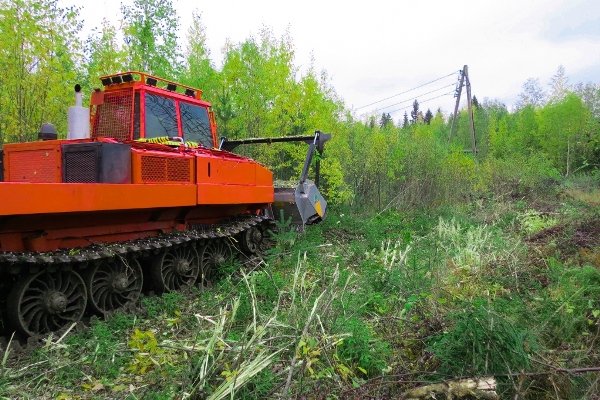 «Кировэнерго» расчистило 942 га трасс ЛЭП за 1 полугодие