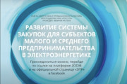 Вебинар «Развитие системы закупок для субъектов малого и среднего предпринимательства в электроэнергетике»