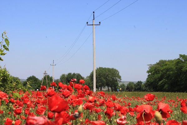 Электроснабжение потребителей Краснодарского края на особом контроле в Минэнерго РФ
