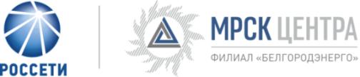 Белгородские энергетики обеспечили стабильную работу электросетей во время циклона