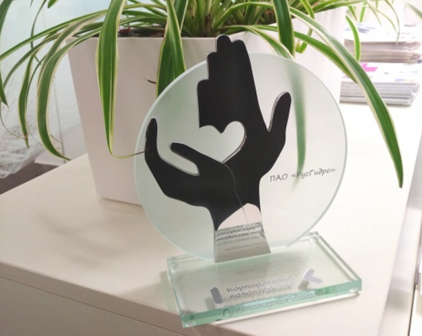 Волонтерские проекты РусГидро получили призовые места на конкурсе