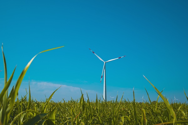 Возобновляемая энергетика может стать двигателем экономического роста Узбекистана