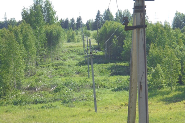Чувашские энергетики расчистят 535,4 трасс ЛЭП