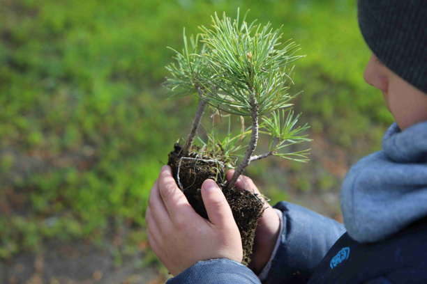 Вклад Нововоронежской АЭС в достижение целей устойчивого развития высоко оценили на международном конкурсе 