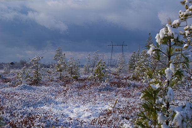Сибирский транзит