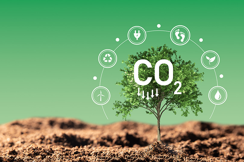 Взять углеродный след