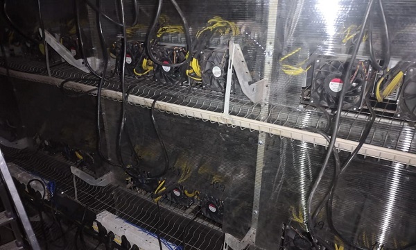 В Новгородской области обнаружена майнинг-ферма
