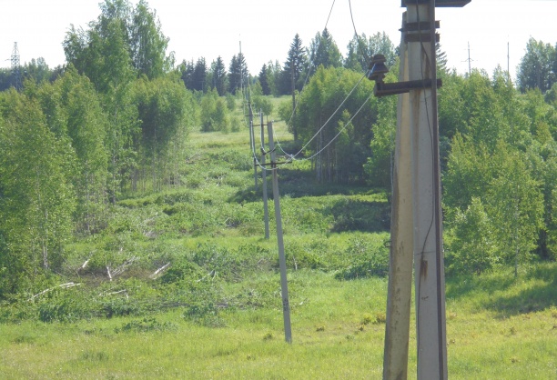 «Алтайэнерго» за 7 месяцев очистило более 1 тыс. га просек ЛЭП
