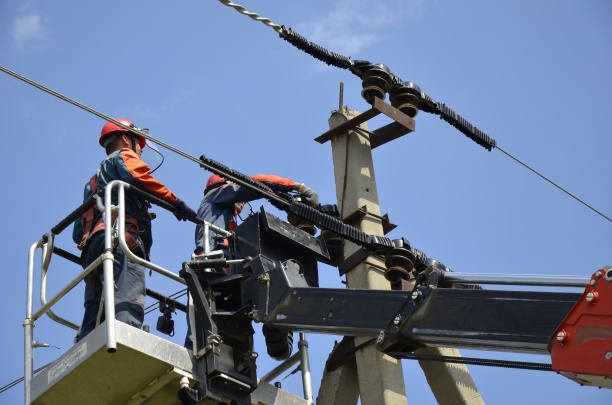  «Россети Юг» подготовили ЛЭП к массовому перелету птиц в Волгоградской области