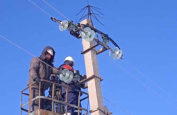 В 2023 году «ДРСК» установит на ЛЭП более 6 тыс. птицезащитных устройств
