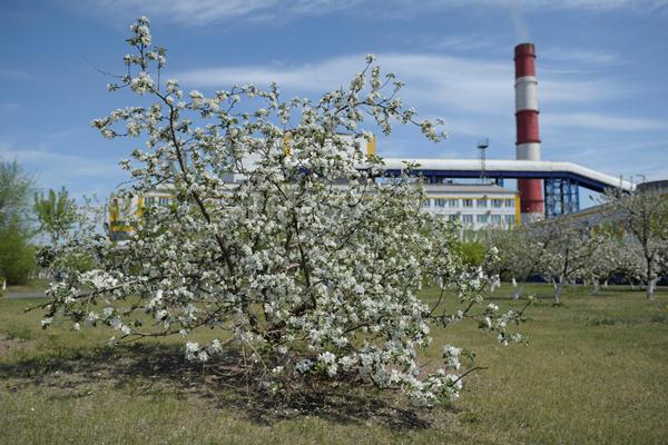 Пензенской ТЭЦ-1 увеличили нагрузку